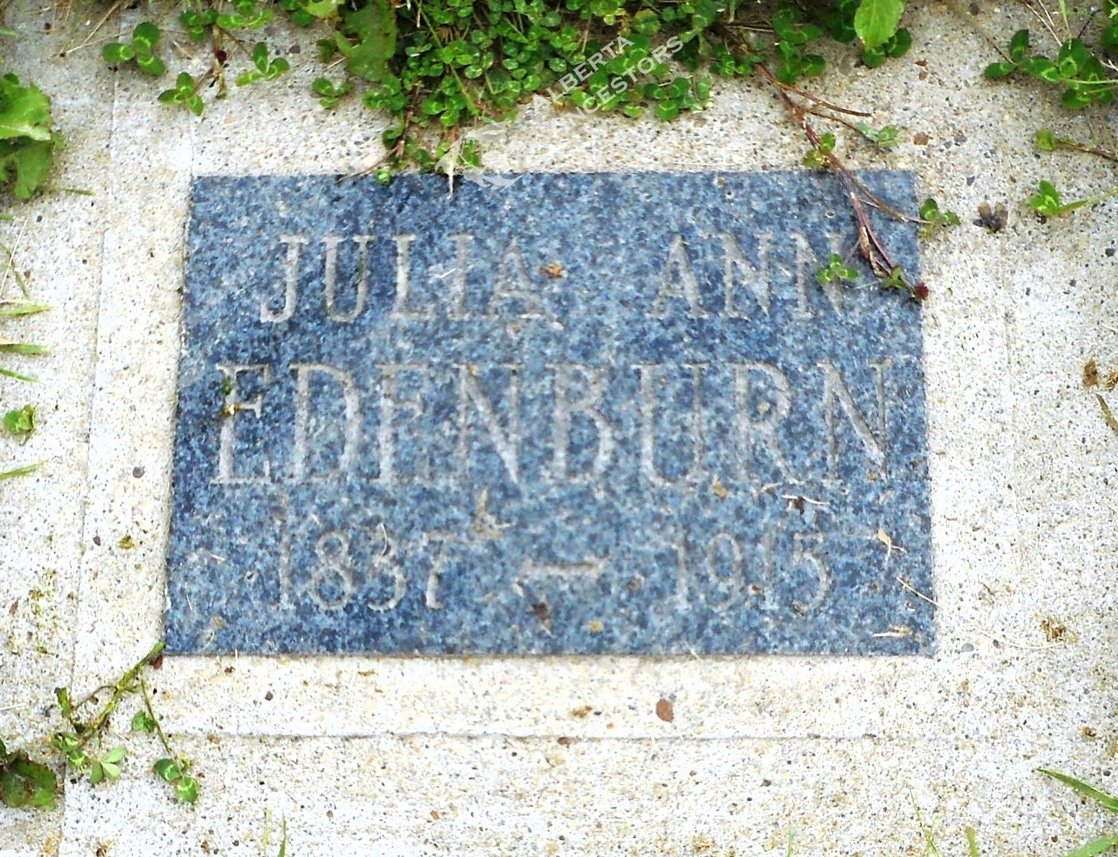 Julia Ann Edenburn (nee High) (1837-1915) - Discover Alberta Ancestors